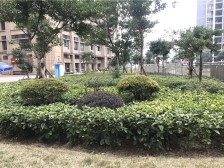 冉家坝 金易E世界一房78万