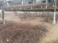 格局方正,视野好,采光好,楼层好