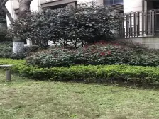 两套打通五房四卫,朝东南对中庭,空调带地暖