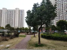 马桥景城馨苑 3室2厅 南