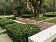 大学城 龙湖U城十一组团(听蓝湾二期)四房290万