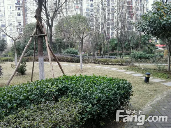 泰驰伊顿阳光