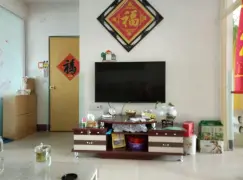 鸢飞小区二手房实景图