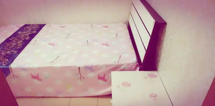 鸿昌一品小区租房,二室二厅,扶沟县东方