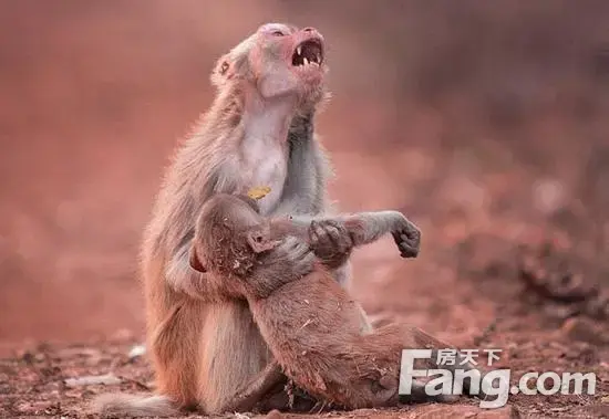 苏州康立医院好吗的博客