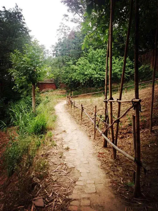 从斑驳的墙壁到乡间的小路 也许已经搬进新房,忘却了那陈旧的木窗