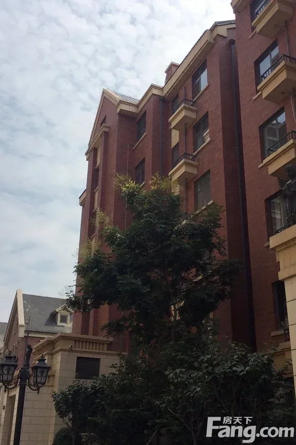 金城·康桥名郡即将加推桃园8