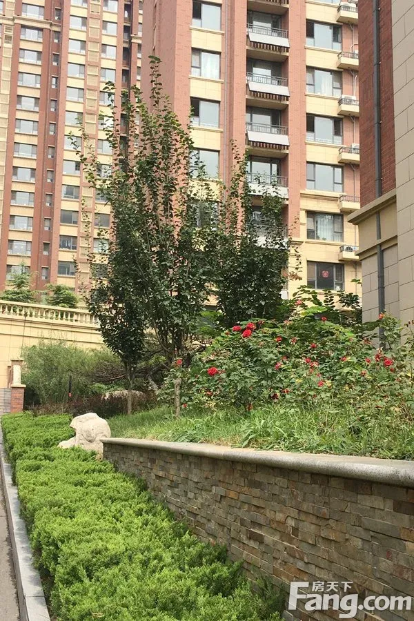 金城·康桥名郡8#桃园在售