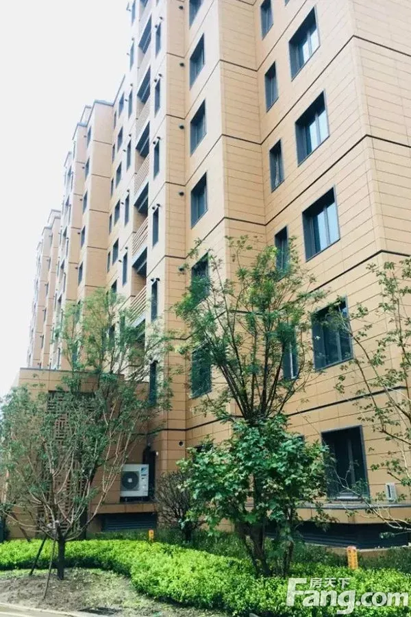 泽信公馆非毛坯准现房预计9月入住