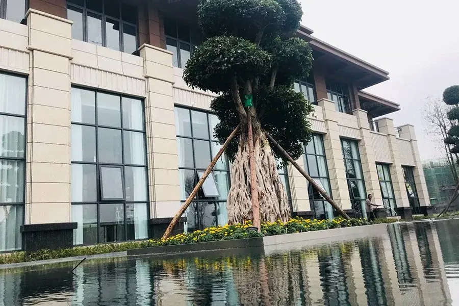 万华·玖玺府