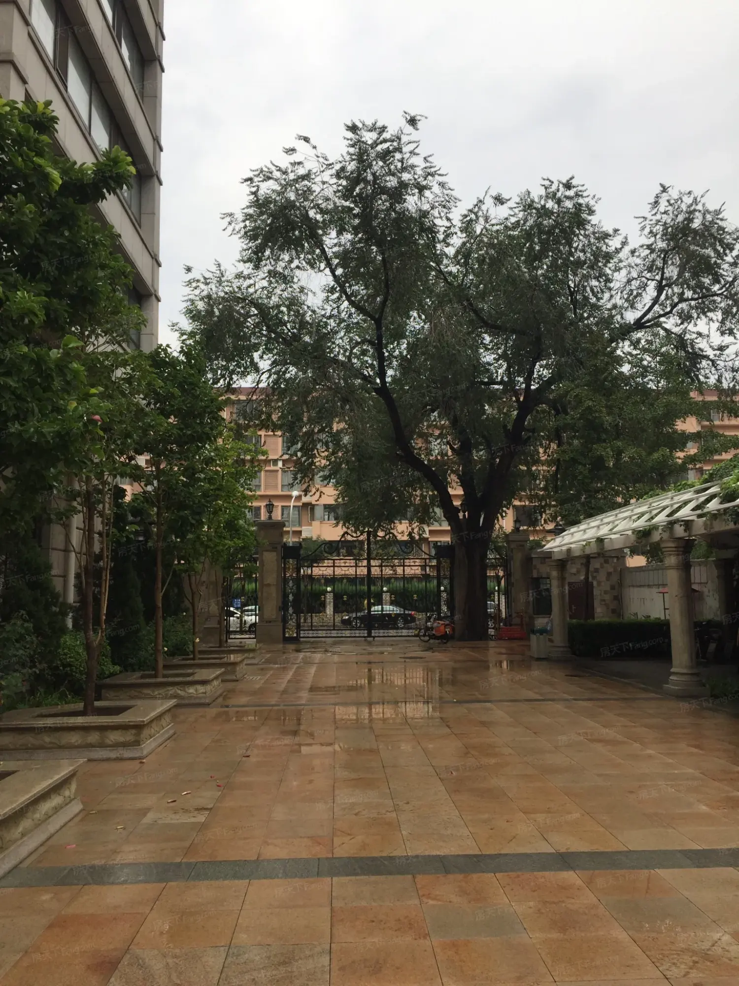 上国阙 4室2厅2卫 南/西/北 36000元