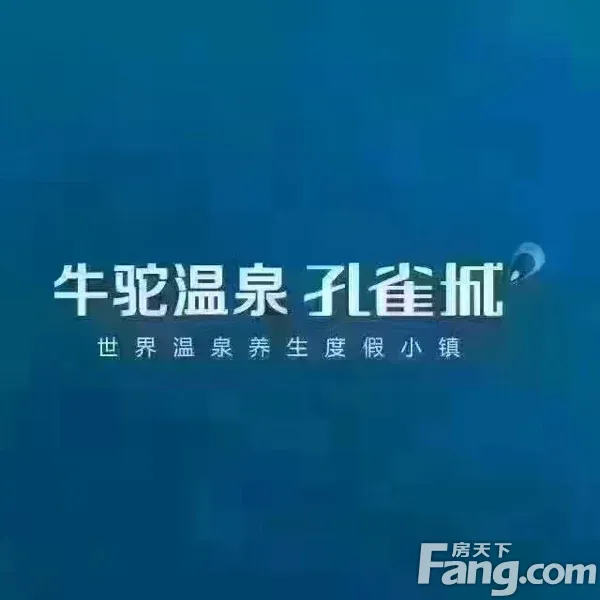 房天下问答 