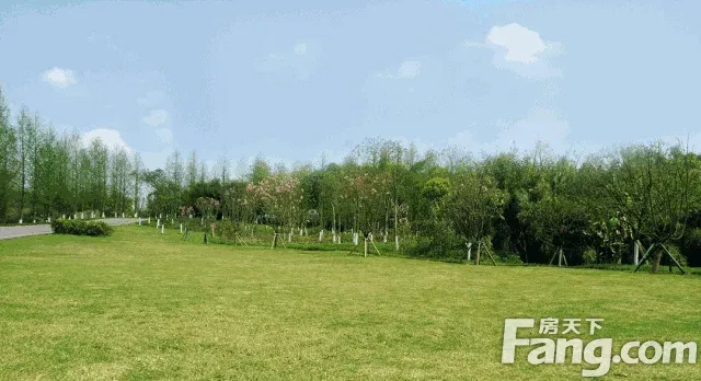 640_348gif 动态图 动图