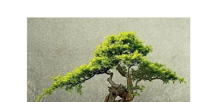 ChCE4FscUMaIHBV1AAFAum0GJKQABCtJgPUGTkAAUDS772.jpg