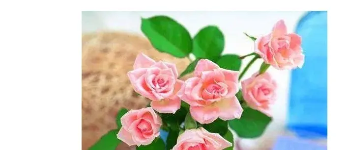 ChCE4VscUMWINgSjAADZr0Cd5gEABCtPAF-DN4AANnH707.jpg