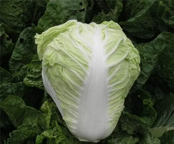 ChCE4VscUMqIXOhEAAHCgKcIBxoABCtNwGYKAYAAcKY368.jpg