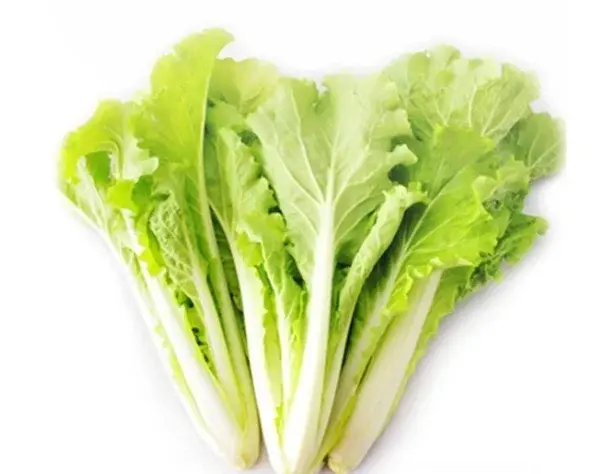 ChCE4FsdojmIXJFtAADm4iS_iSoABCurgPfQZkAAOb6022.jpg