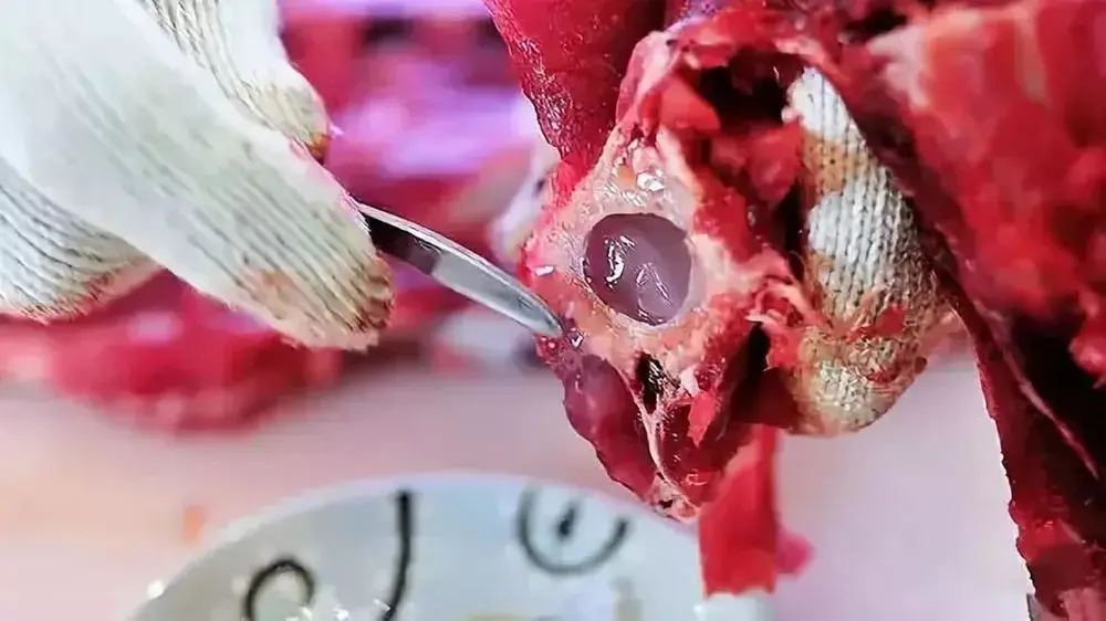 三亚开什么公司好_三亚专业小程序开发电话_三亚开发商