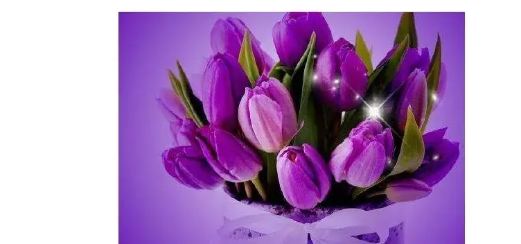 ChCE4ltBO3iIFGk8AAELx5VI3g8ABDhJQBEtucAAQvf154.jpg