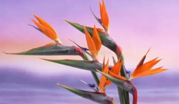 ChCE4VtFLoqICDB7AANW8asGOOoABDnjQKwsT0AA1cJ323.png