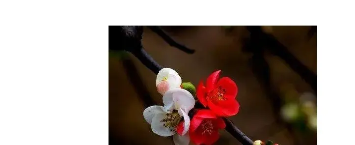 ChCE4FwgCnGIXfAvAACEkCNAZtEABImiAASmAgAAISo388.jpg