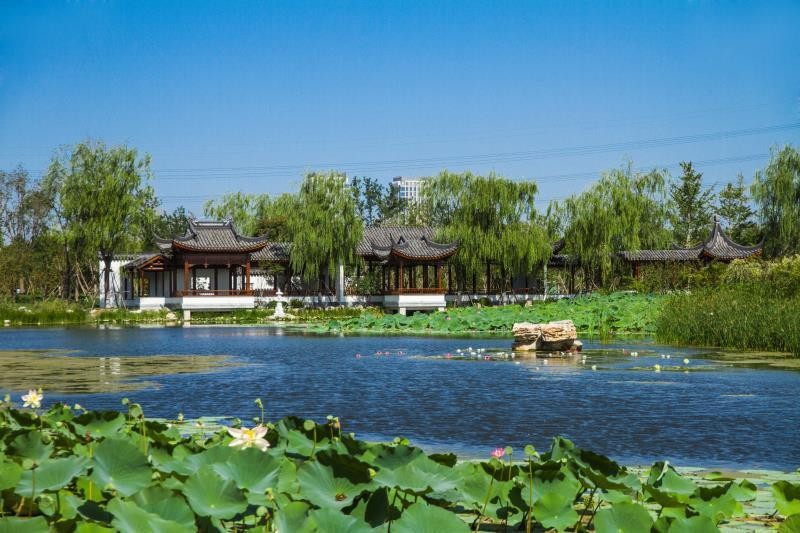 市城管委將持續推進大綠大美建設,完成市屬水上公園,動物園,南翠屏