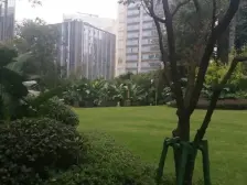 南坪 玖玺台 一线看江大平层 带品牌家电家具