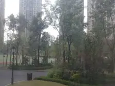 次新小区,出行方便,装修保养好