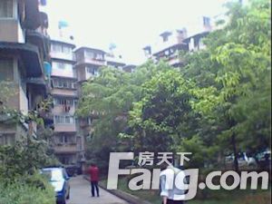 二环路西三段26号 2室1厅 东 东南 南