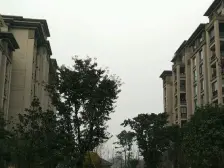 隆鑫爱琴海四期 1室2厅 南