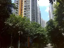 鑫茂源e时代 1室0厅 东