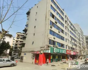 金仙桥路17号 4室2厅 西