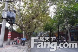 文庙前街69号 3室2厅 东南