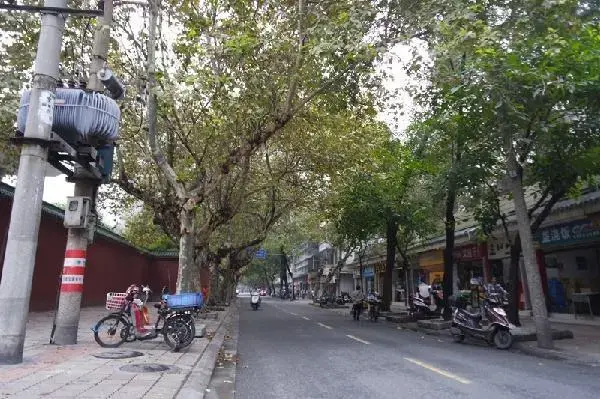 文庙前街69号院实景图