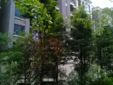 农业园区 隆鑫鸿府锦上三房94.2万