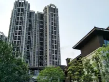 轻轨旁物业 满五唯一 南向望花园