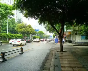 鼓楼北四街27号 3室1厅 南