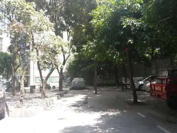 为民路49号院实景图