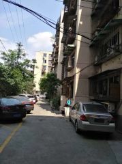 中道街89号 2室1厅 北