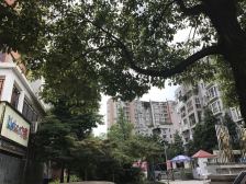 江水湾一二期 2室2厅 东南