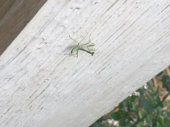 桂园小区实景图