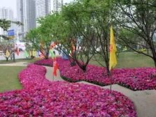 西永 龙湖好城时光二房85万