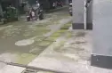 连心苑(青羊)实景图