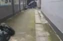 连心苑(青羊)实景图
