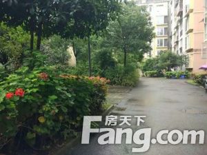 海棠园 3室2厅 南 西南