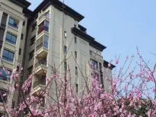 西永 隆鑫花漾汇 小高层 大一室带露台