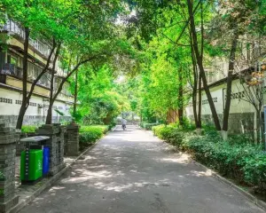 南兴巷3号 2室1厅 西南