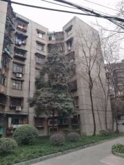 莲花新区南一巷2号院 3室2厅 南