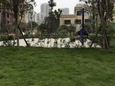 同创鸥翔云湖苑 2室1厅 南