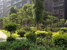 新景国际外滩一期B户型使用170左右精装4.5房